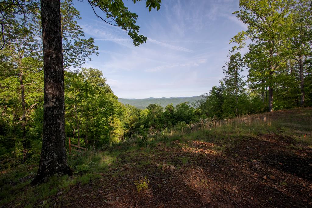 430228  Land
