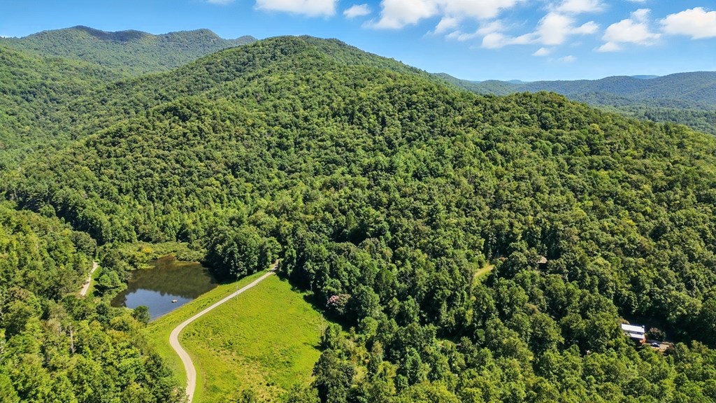430375 Hiawassee Active