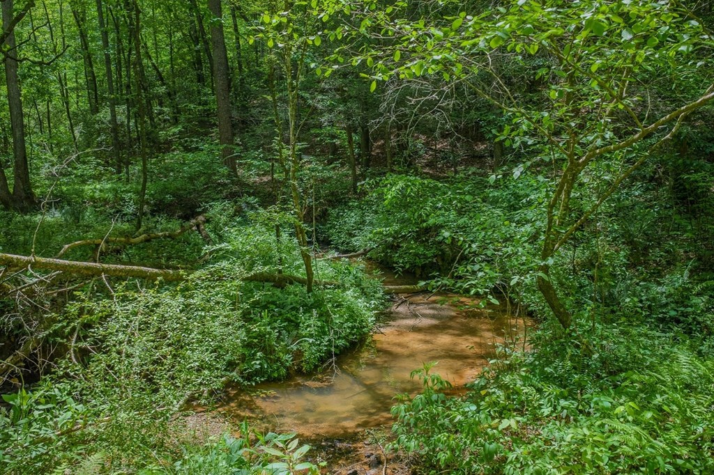 430437 Ellijay Active