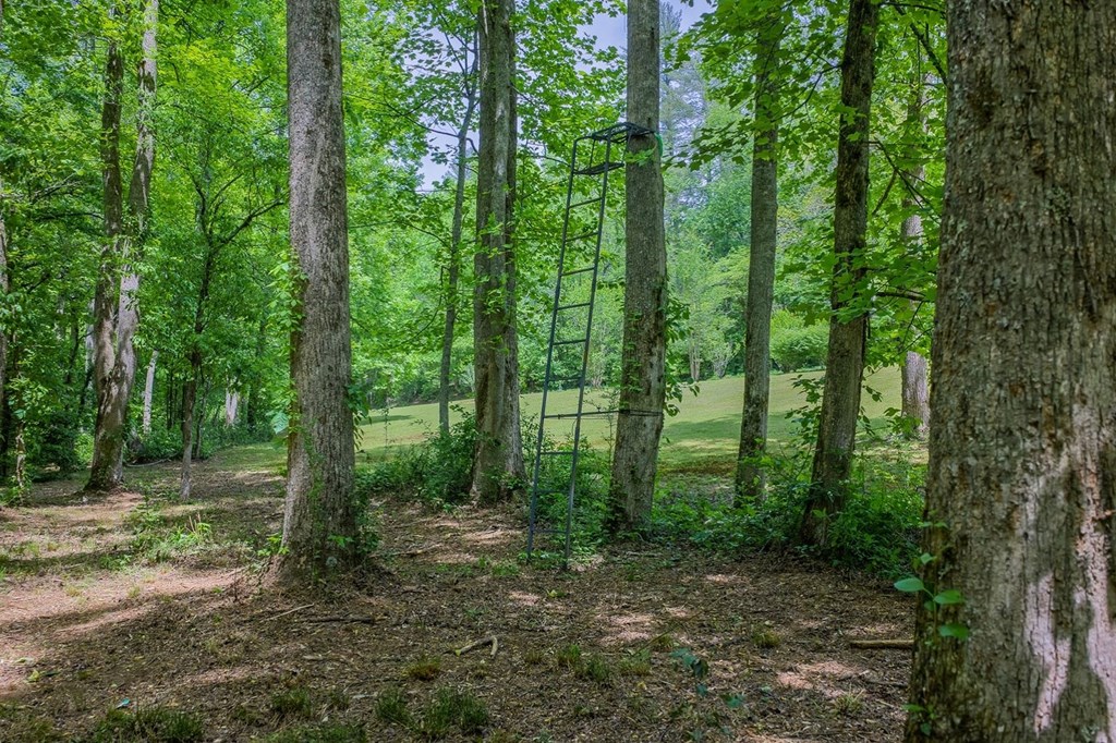 430437 Ellijay Active