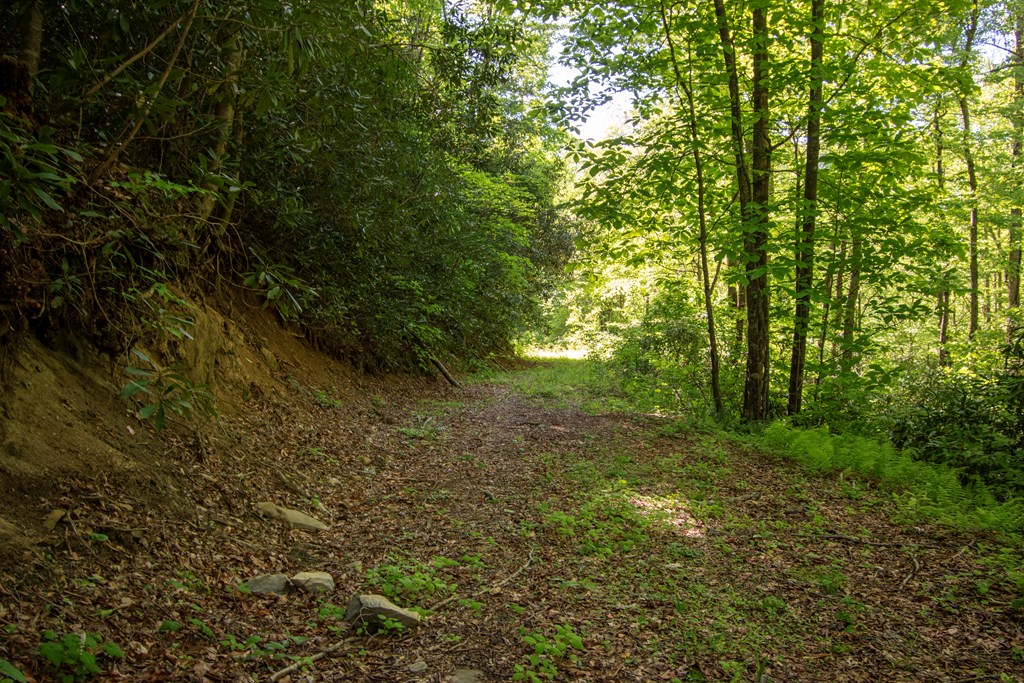 430676 Robbinsville
 Land