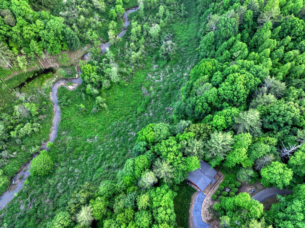 430689 Ellijay Active