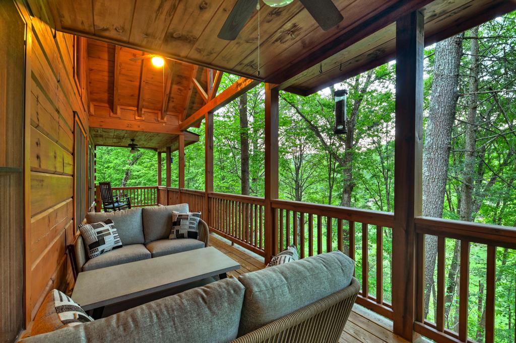 430689 Ellijay Active