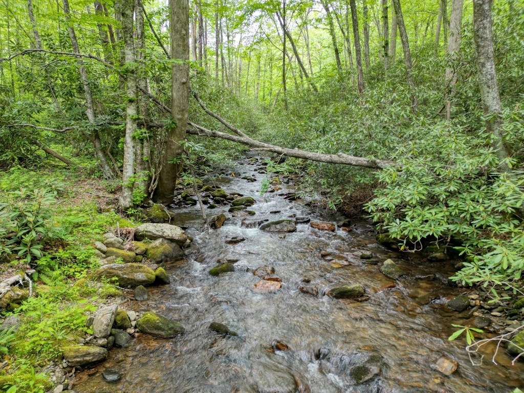 430937 Hayesville Active