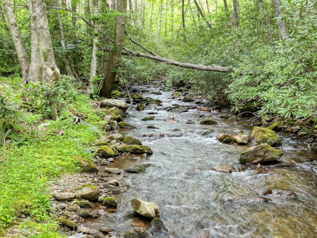 430937 Hayesville Active