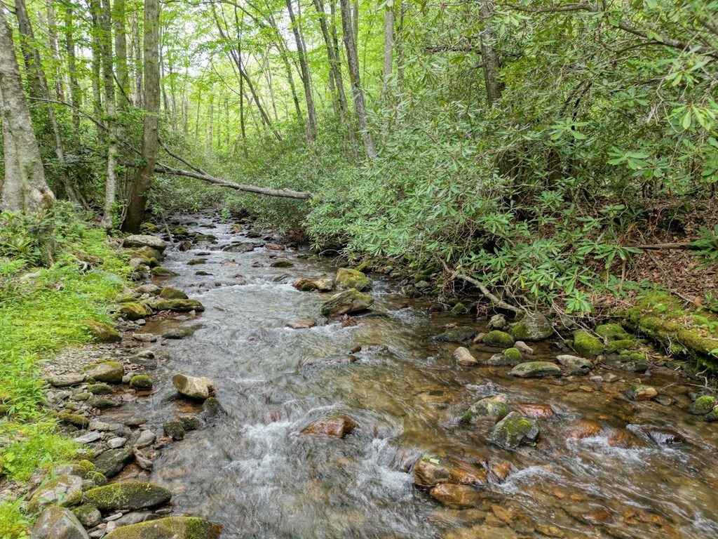 430937 Hayesville Active