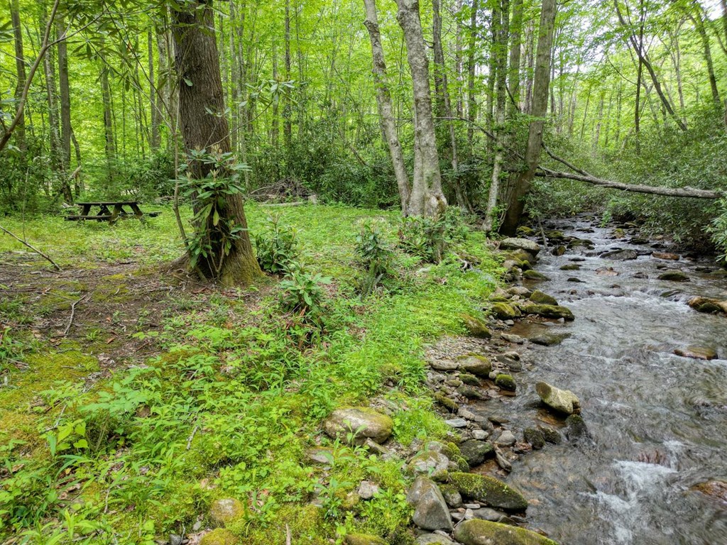 430937 Hayesville Active