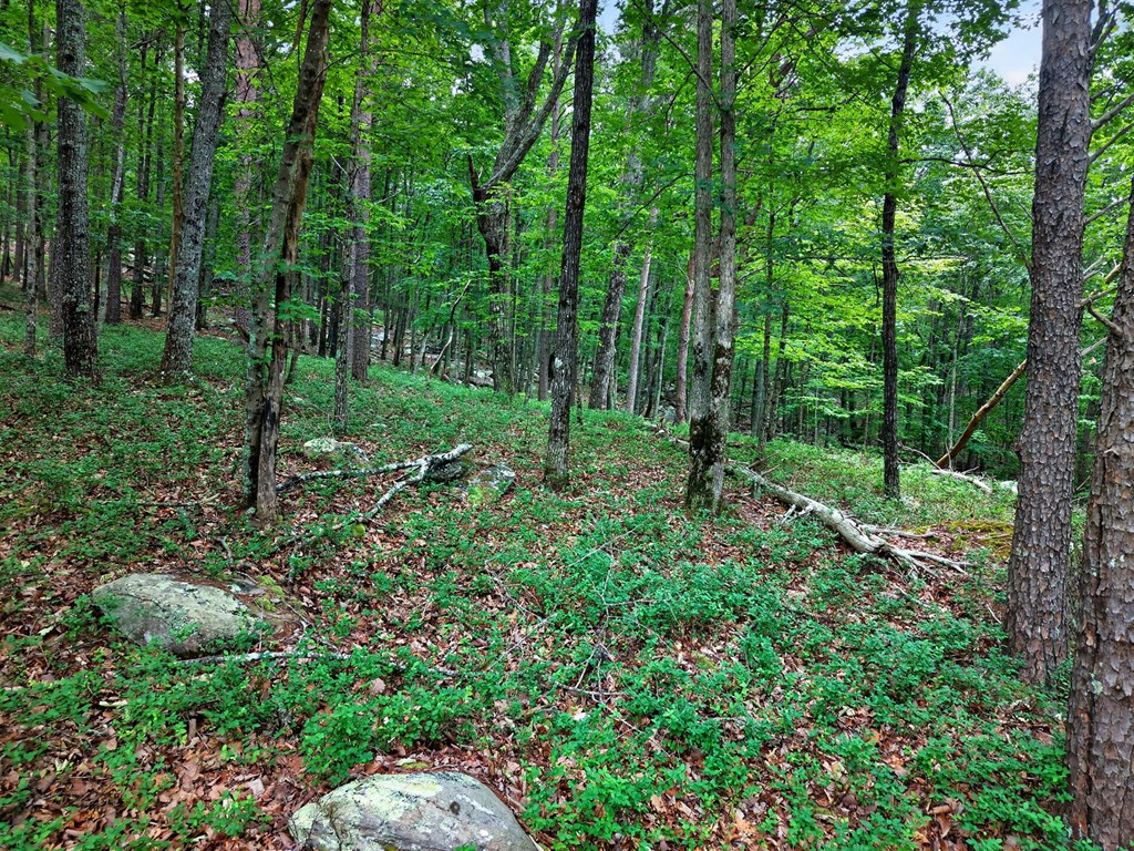 430944 Jasper
 Land