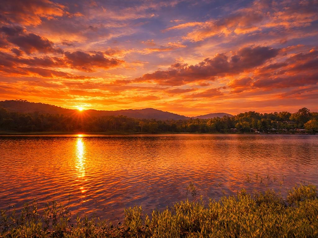 430950 Blairsville
 Land