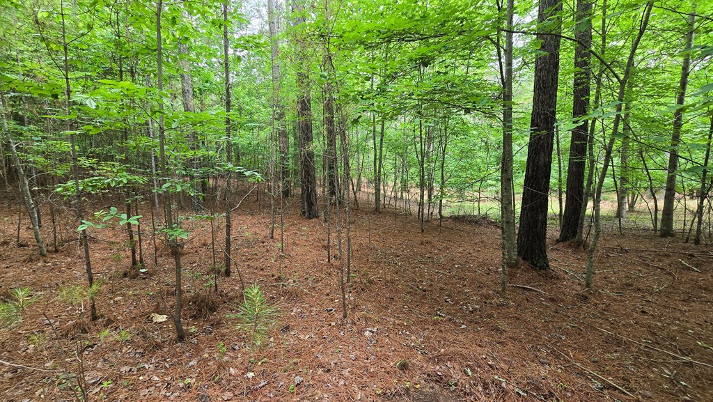 430954 Blairsville
 Land