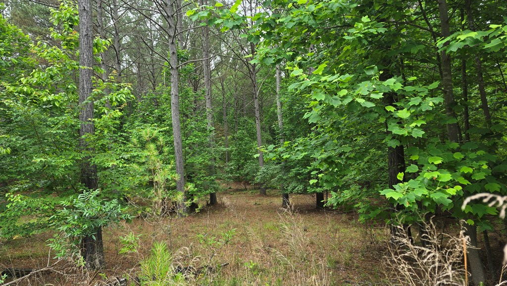 430957 Blairsville
 Land