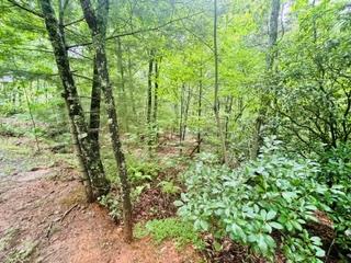 430964  Land