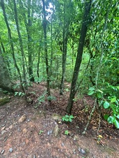 430964 Blue Ridge
 Land