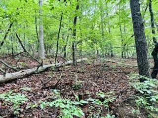 430965  Land
