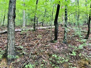 430965 Blue Ridge
 Land