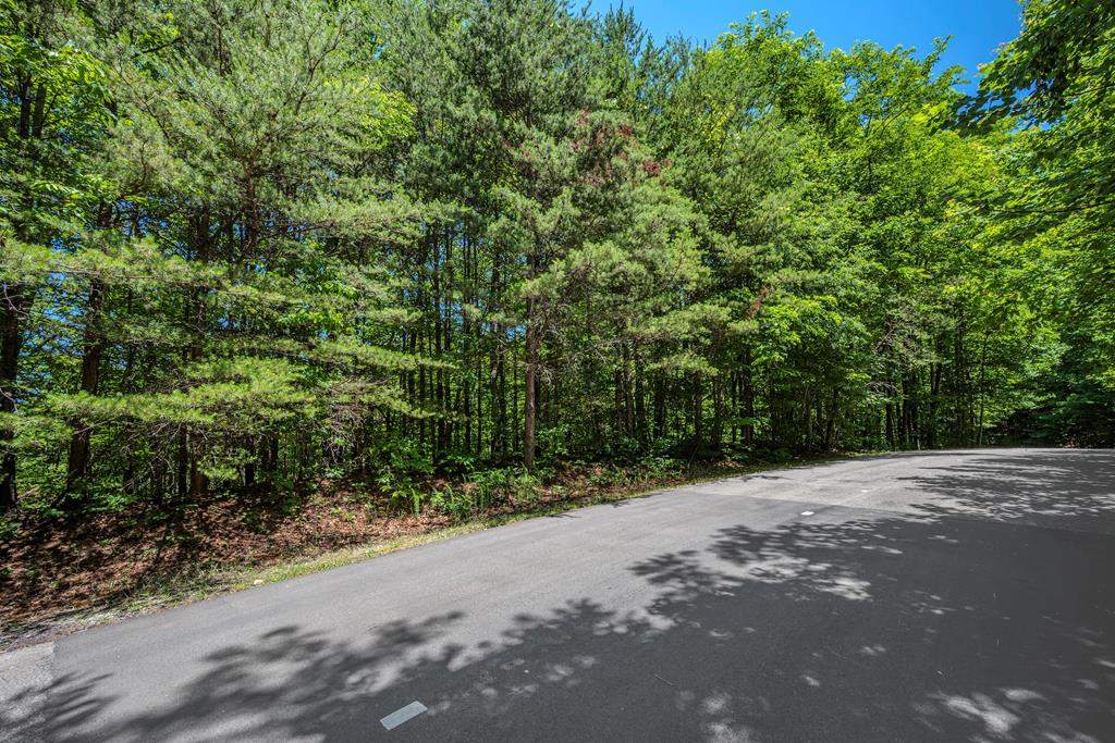 430979 Ellijay
 Land