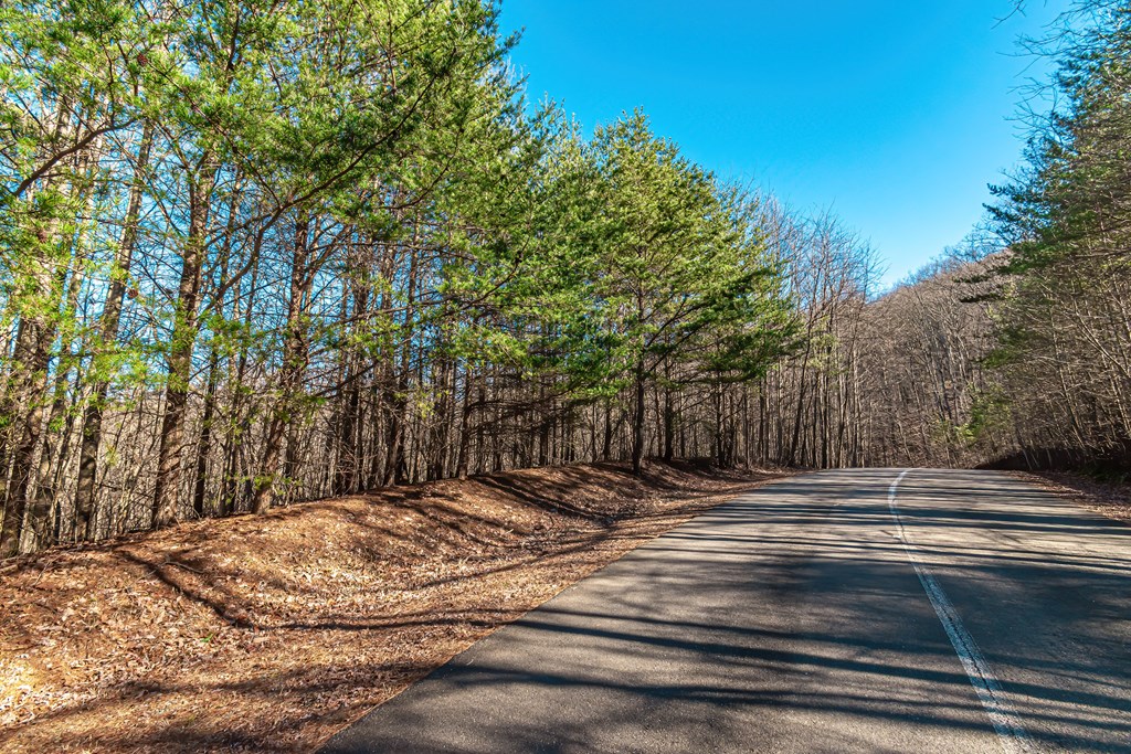 430979 Ellijay
 Land
