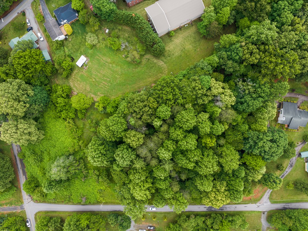 430980 McCaysville
 Land