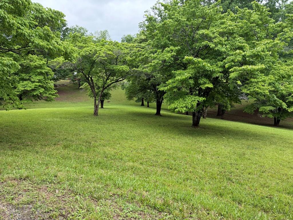 430984  Land