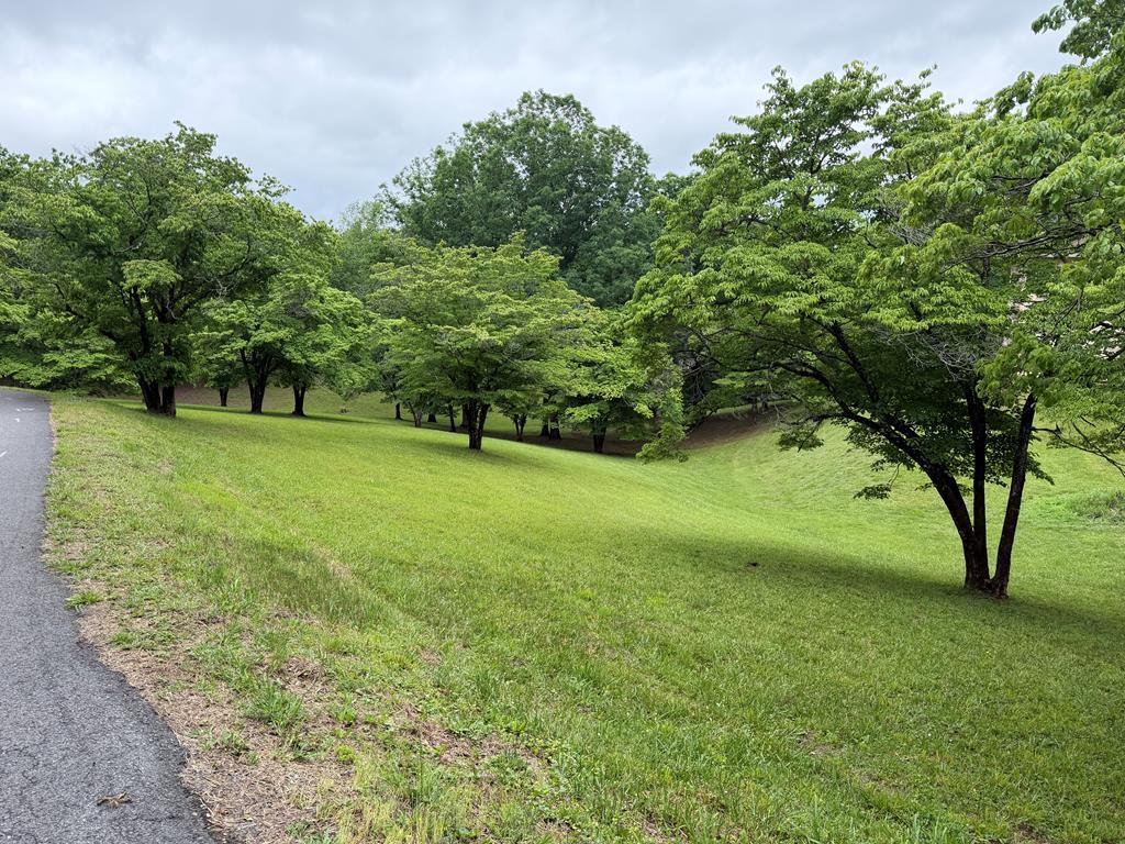 430984 Hayesville
 Land