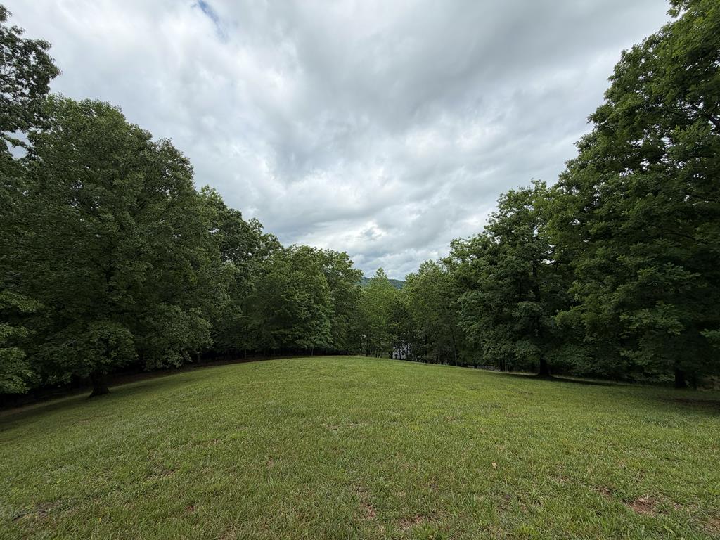 430985  Land