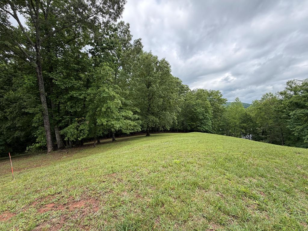 430985 Hayesville
 Land