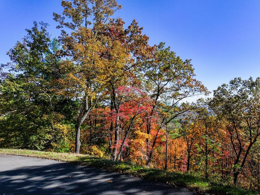 430999 Ellijay
 Land