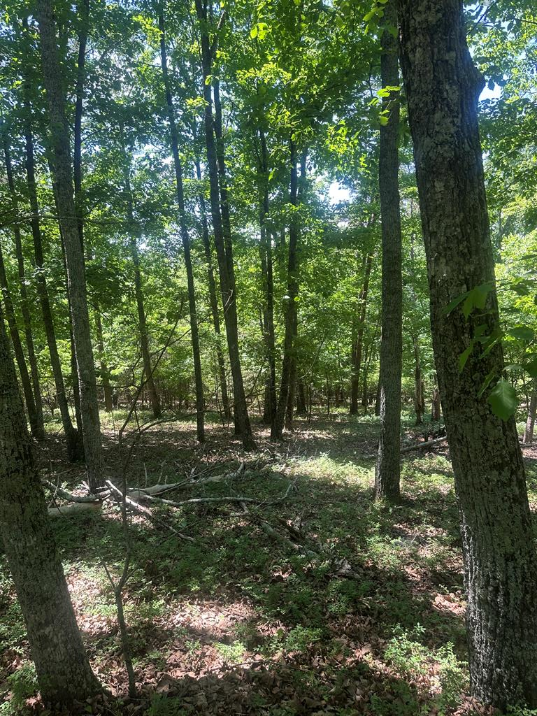 431010  Land