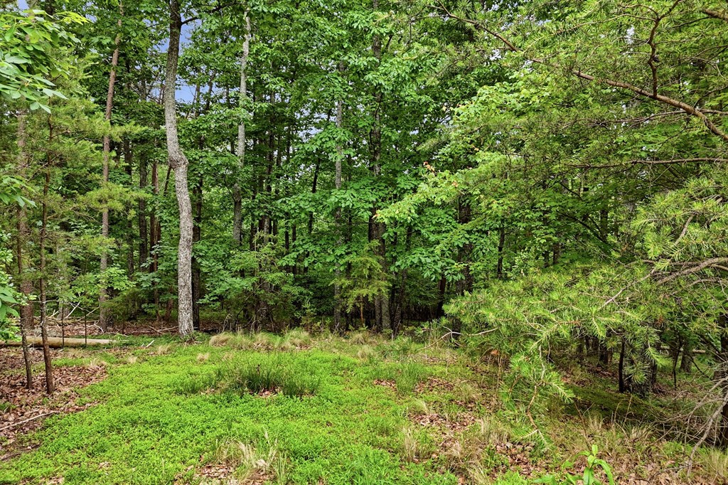 431010 Jasper
 Land