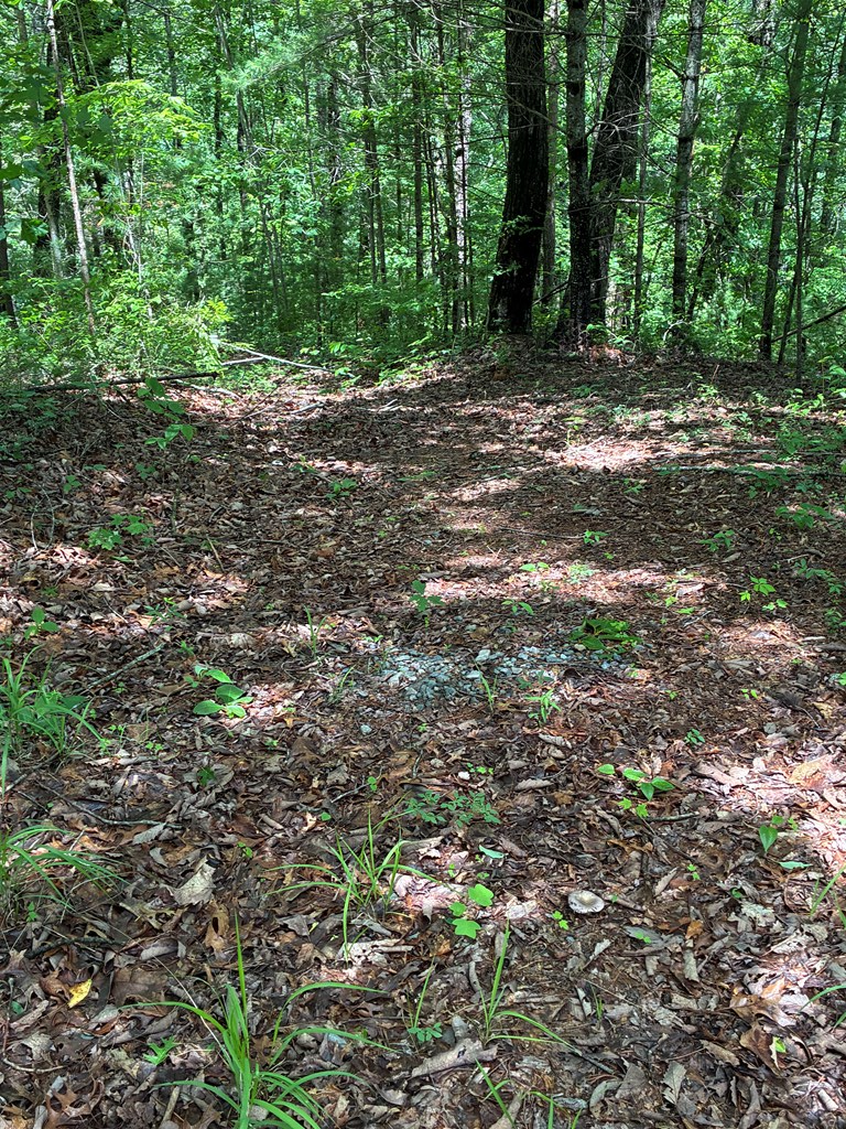 431031 Ellijay
 Land