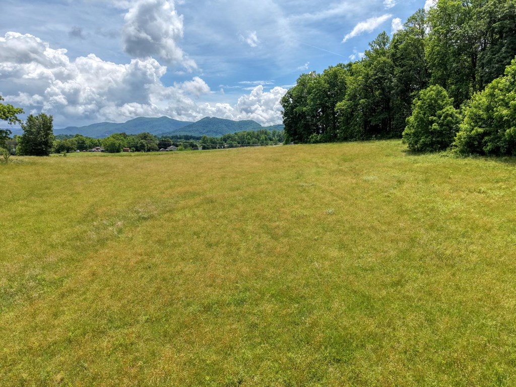 431037 Hiawassee
 Land