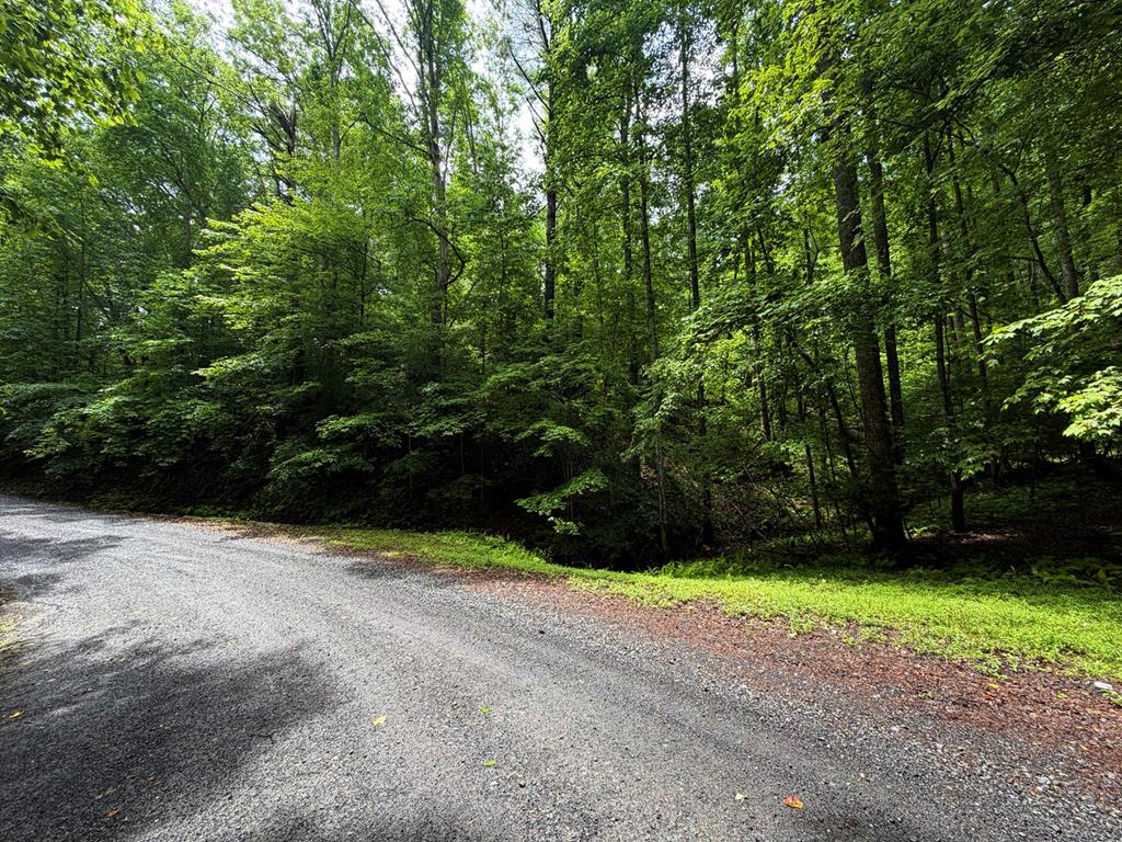 431042  Land