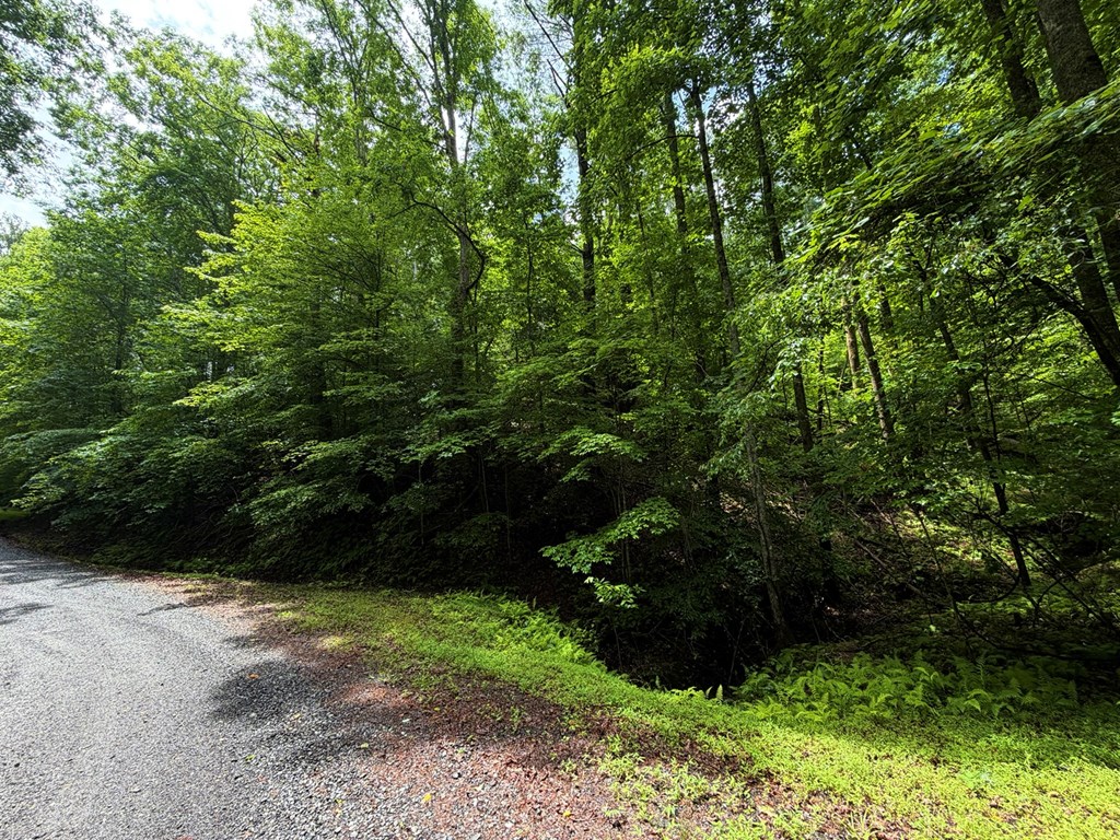 431042 Ellijay
 Land