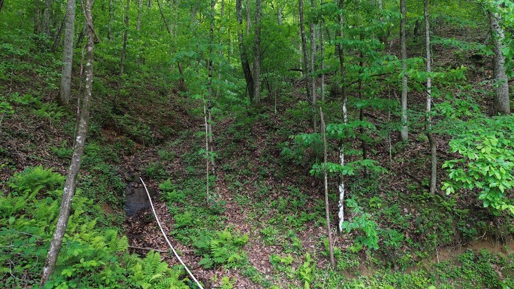 431044 Turtletown
 Land