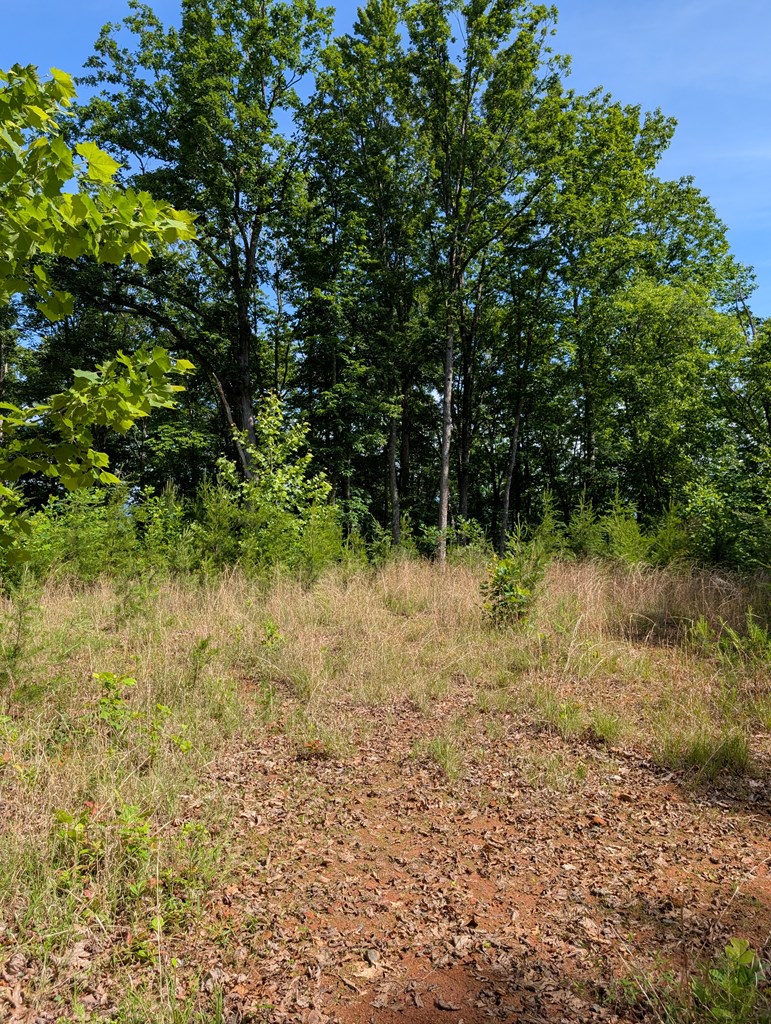 431046 Hayesville
 Land