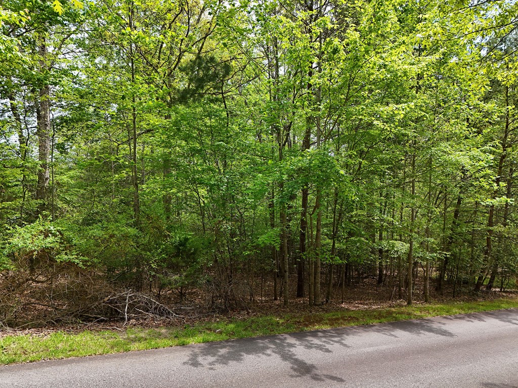 431047 Blairsville
 Land
