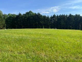 431058  Land