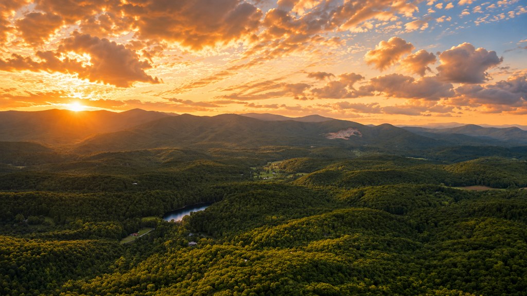 431060 Ellijay
 Land