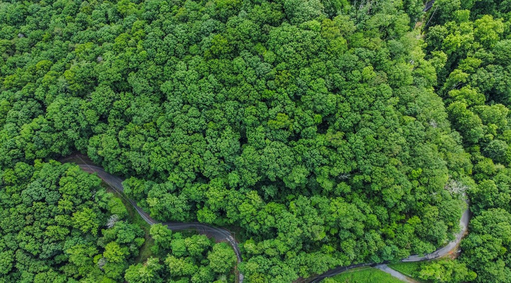 431060 Ellijay
 Land
