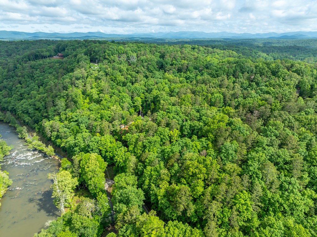 431063 Ellijay
 Land