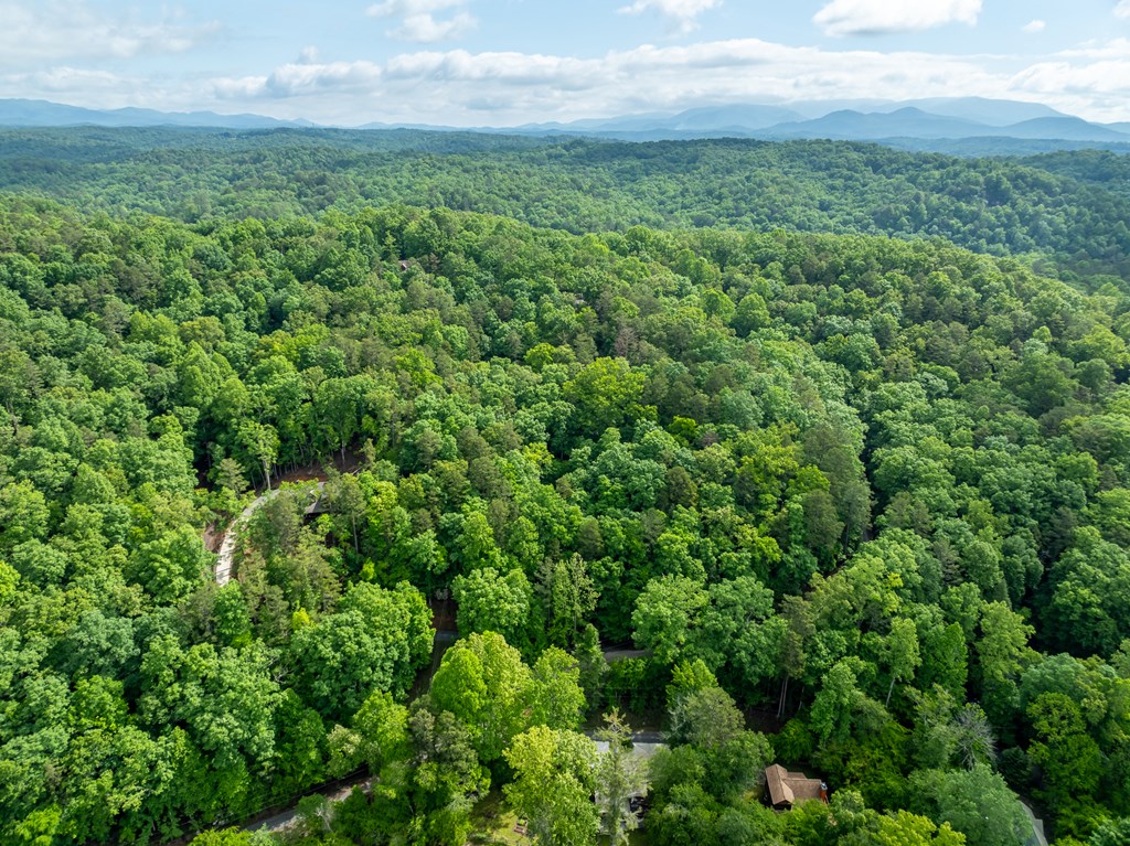 431063 Ellijay
 Land