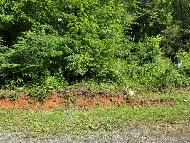 431069  Land