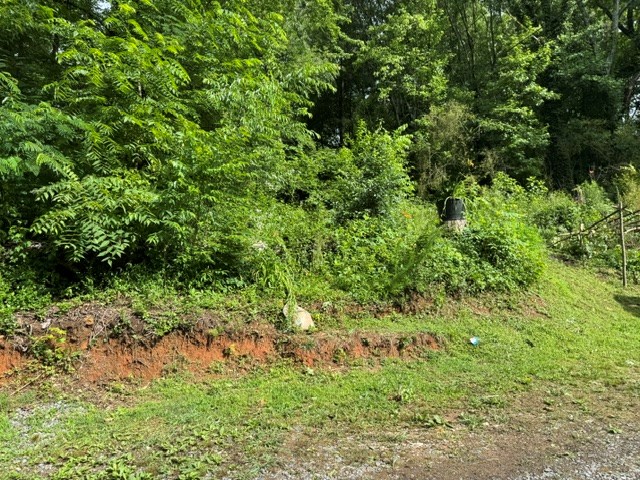 431069 Ellijay
 Land