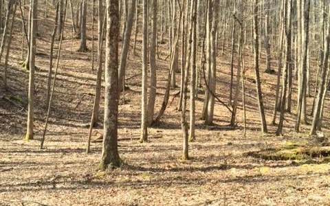431078 Suches
 Land