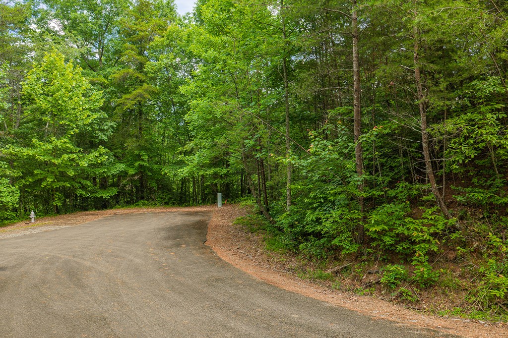 431084 Ellijay
 Land