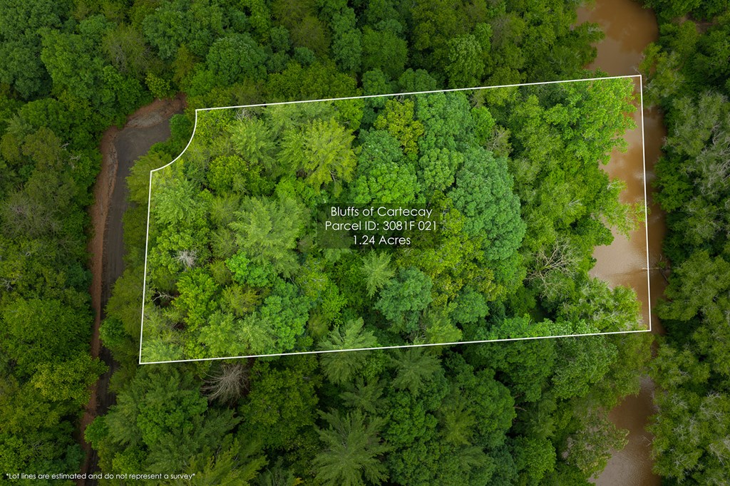 431084 Ellijay
 Land