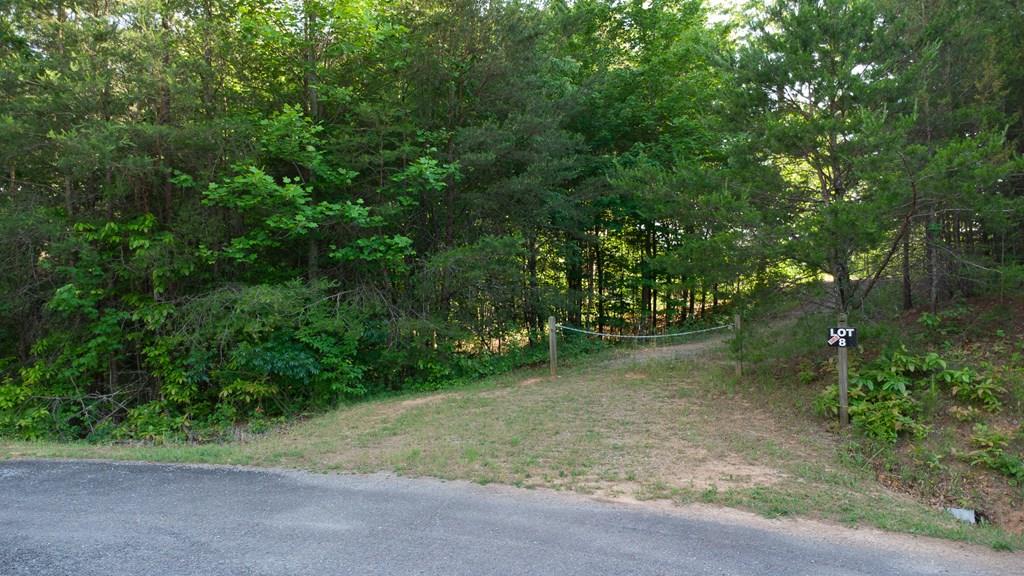 431097  Land