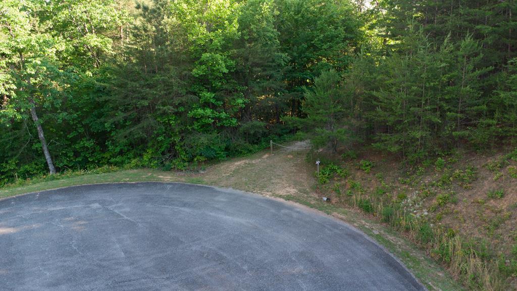 431097 Ellijay
 Land