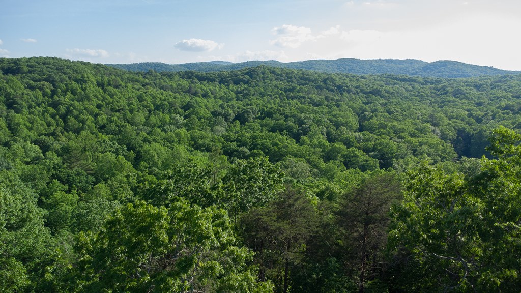 431097 Ellijay
 Land