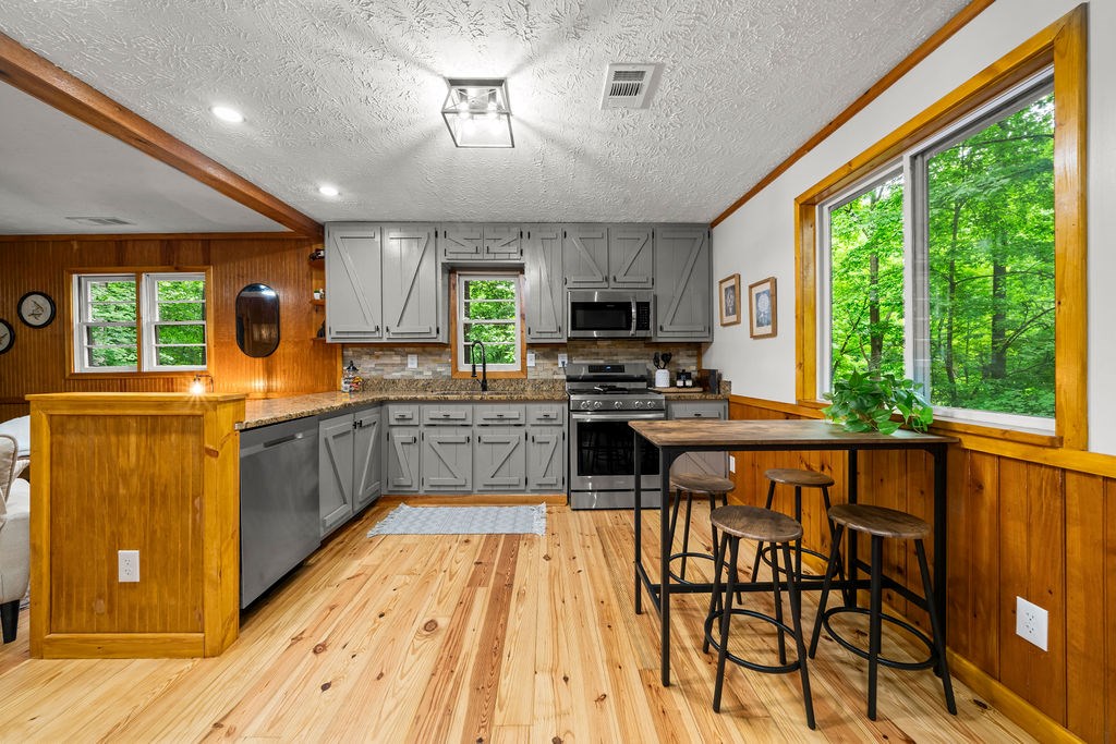 431106 Ellijay Active